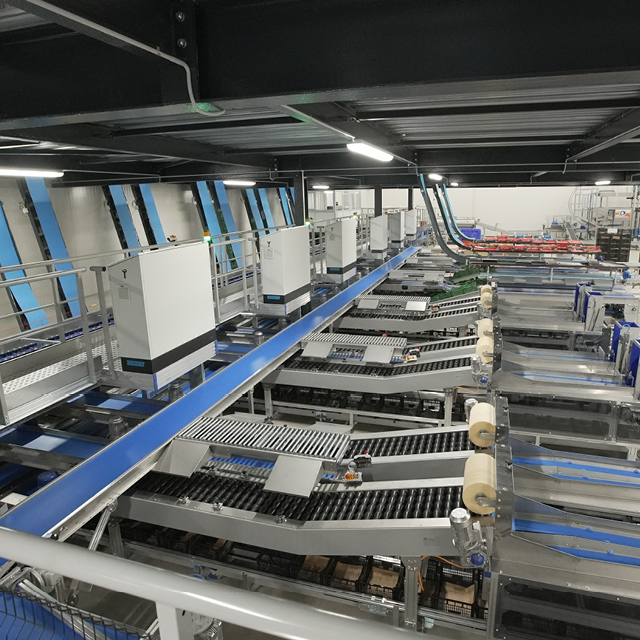 peach sorting integrated solutions
