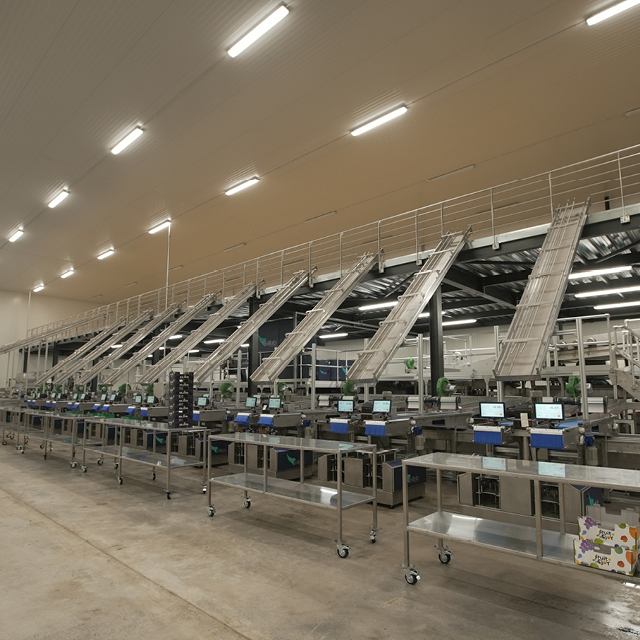 cherry integrated sorting solutions