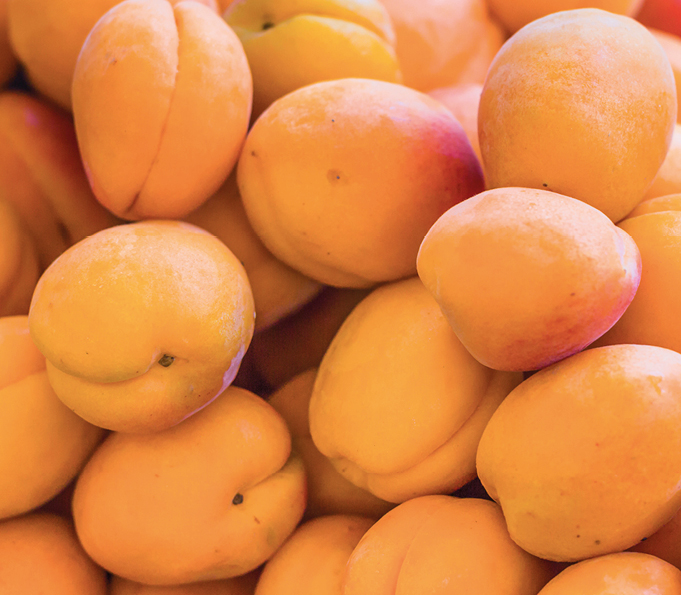 Apricot color sorting