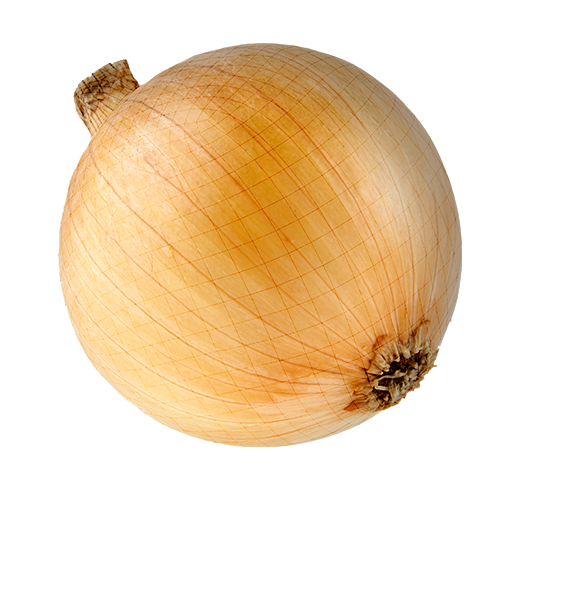 Onion Grading Machine