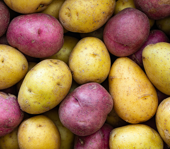 Potato color sorting