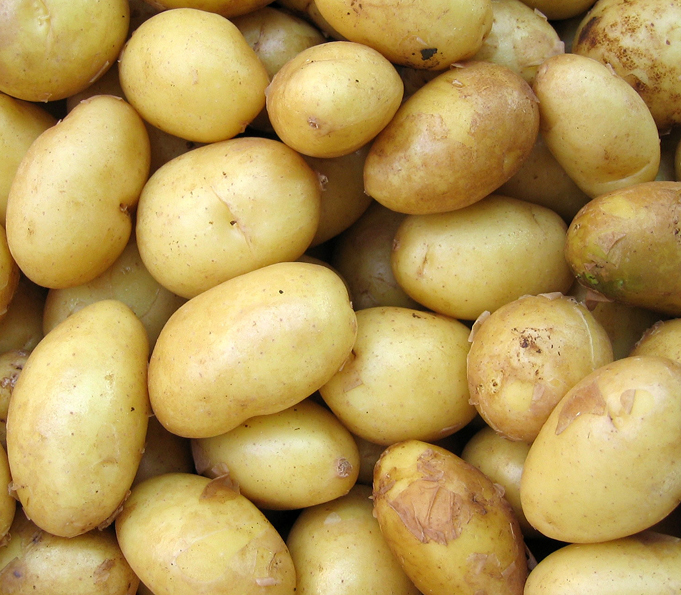Potato size sorting