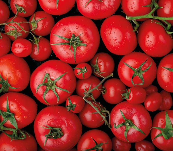 Tomato size sorting