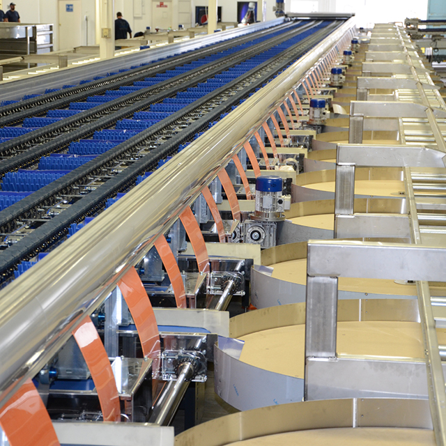 Tomato sorting machine