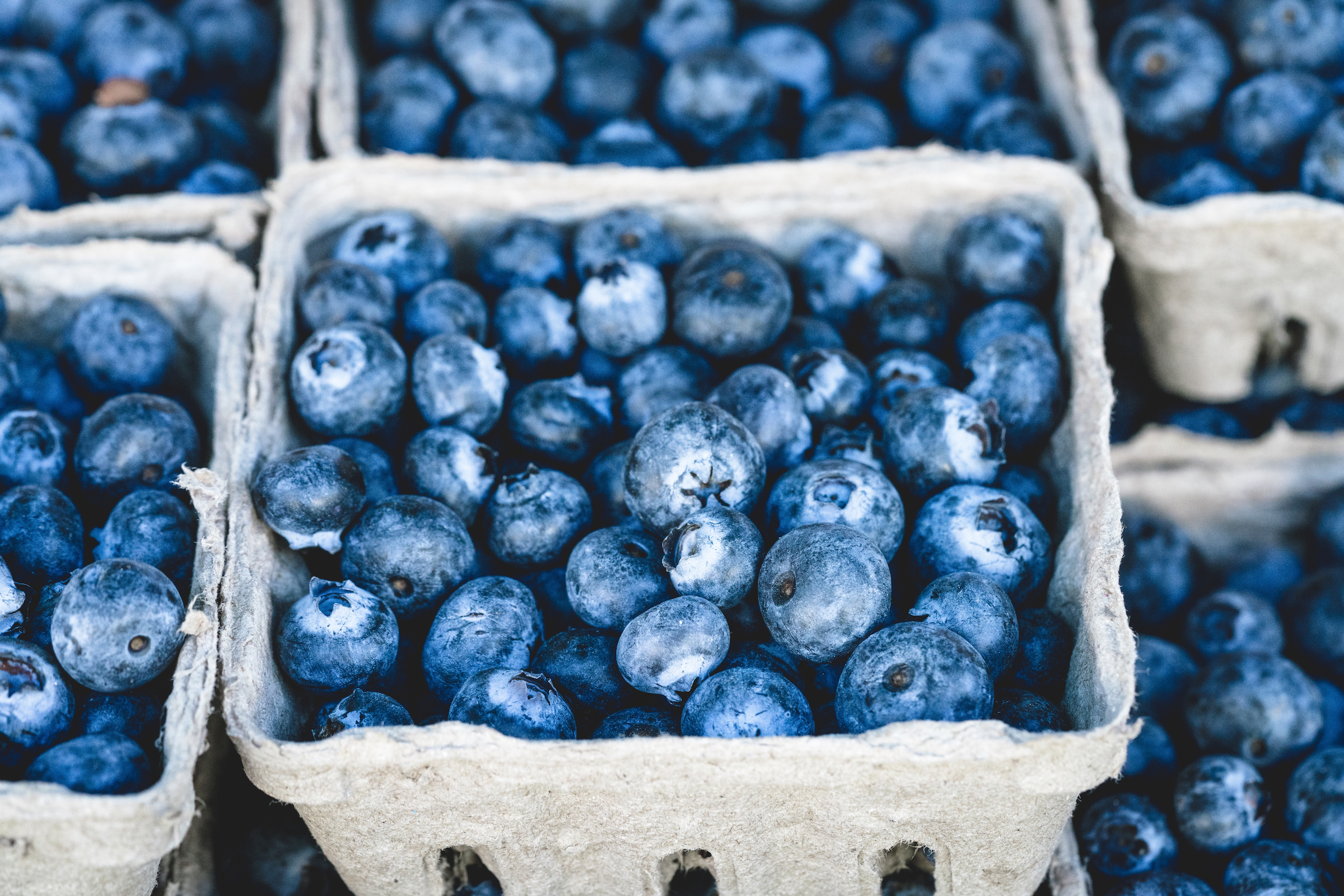 Blueberry grading consistent quality