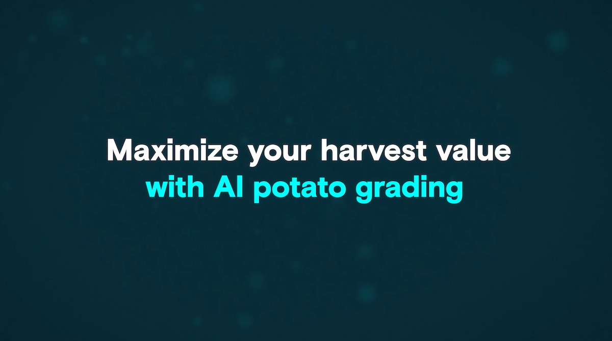 Maximize your harvest value with AI potato grading